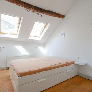 Quartier EU, maison rénovée 6ch + maison arrière + garage