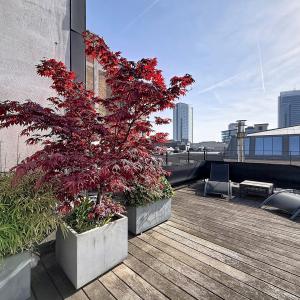 Royale / Congrès : Bel appartement duplex penthouse meublé