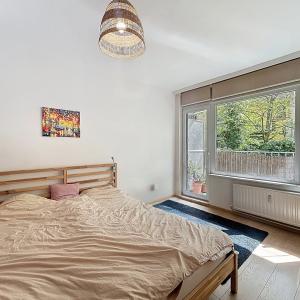 Quartier Européen : Charmant appartement 3 CH et 2 terrasses