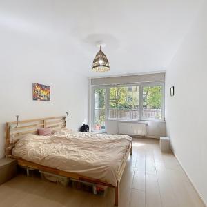 Quartier Européen : Charmant appartement 3 CH et 2 terrasses