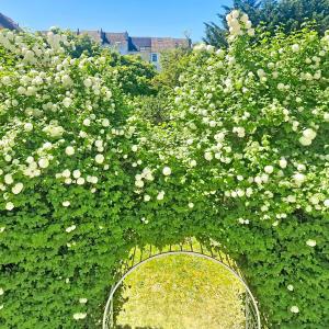Splendide maison: jardin sud, double garage, prof. libérale