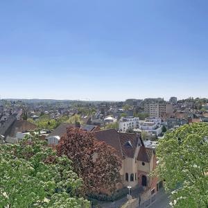 Coghen : Bel appartement rénové avec une magnifique vue