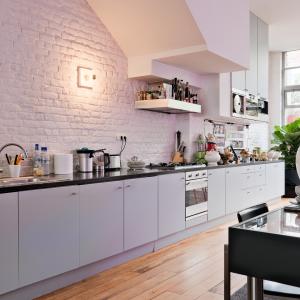 Magnifique loft meublé, 2 grandes terrasses et parking