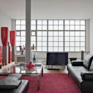 Magnifique loft meublé, 2 grandes terrasses et parking