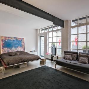 Magnifique loft meublé, 2 grandes terrasses et parking