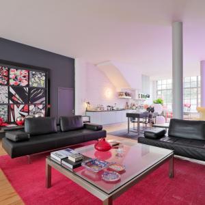Magnifique loft meublé, 2 grandes terrasses et parking