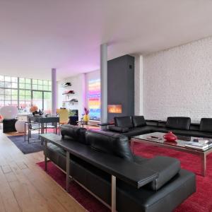 Magnifique loft meublé, 2 grandes terrasses et parking