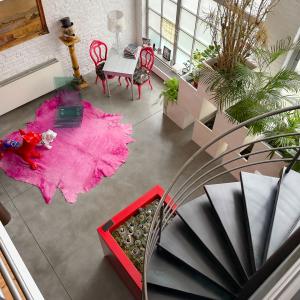 Magnifique loft meublé, 2 grandes terrasses et parking
