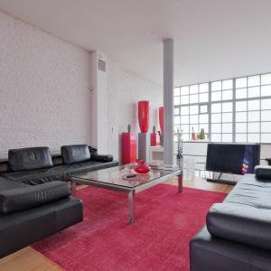 Magnifique loft meublé, 2 grandes terrasses et parking