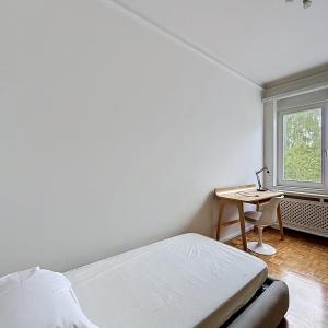 Roosevelt : Bel appartement meublé de 4 chambres + terrasse