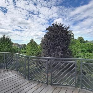 Molière : Somptueux appartement + terrasses
