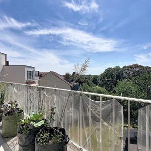 Cavell / Churchill : Bel appartement + terrasse !