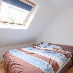 Etangs d'Ixelles : arrière maison 3 ch + cour
