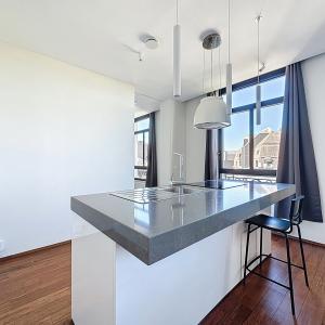 Toison d'Or : Bel appartement meublé 1 chambre