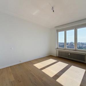 Louise / Jardin du Roi : Bel appartement rénové + jolie vue