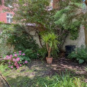 Quartier EU - Magnifique maison 6 ch. avec jardin