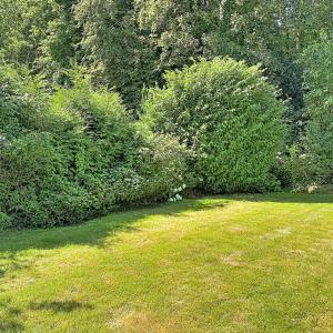 Wolvendael : Superbe villa 4 chambres + jardin et garage