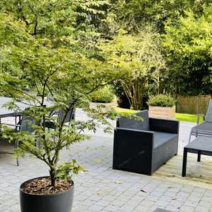 Chant d'oiseau: magnifique duplex rénové avec jardin