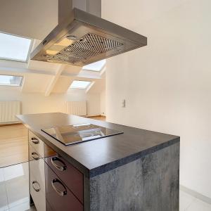 Etangs d'Ixelles : appartement 2 ch + bureau + 2 terrasses