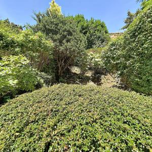 Floréal : Magnifique maison de Maître 4 chambres + jardin