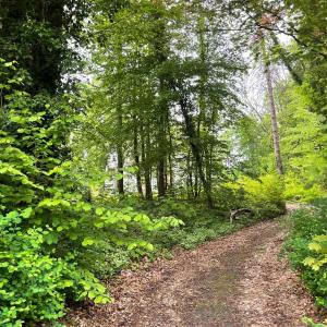 Linkebeek / Vallée des artistes, terrain  de 51 ares