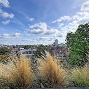 Flagey / Louise - Superbe duplex penthouse + terrasse !