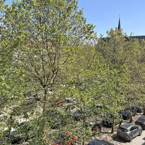 Sablon : Superbe appartement meublé + vue imprenable