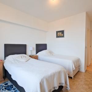 Molière : bel appartement 3 chambres