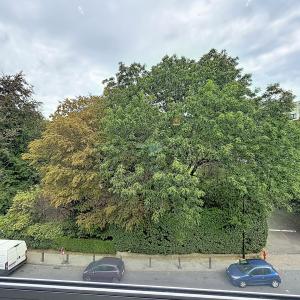 Cavell/Montjoie : Beau studio 