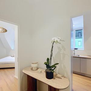 Cinquantenaire - Magnifique appartement meublé et rénové