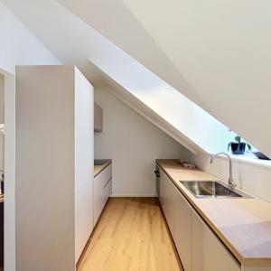 Cinquantenaire - Magnifique appartement meublé et rénové