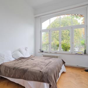 Etangs d'Ixelles, maison de Maître révové de 410 m2  jardin