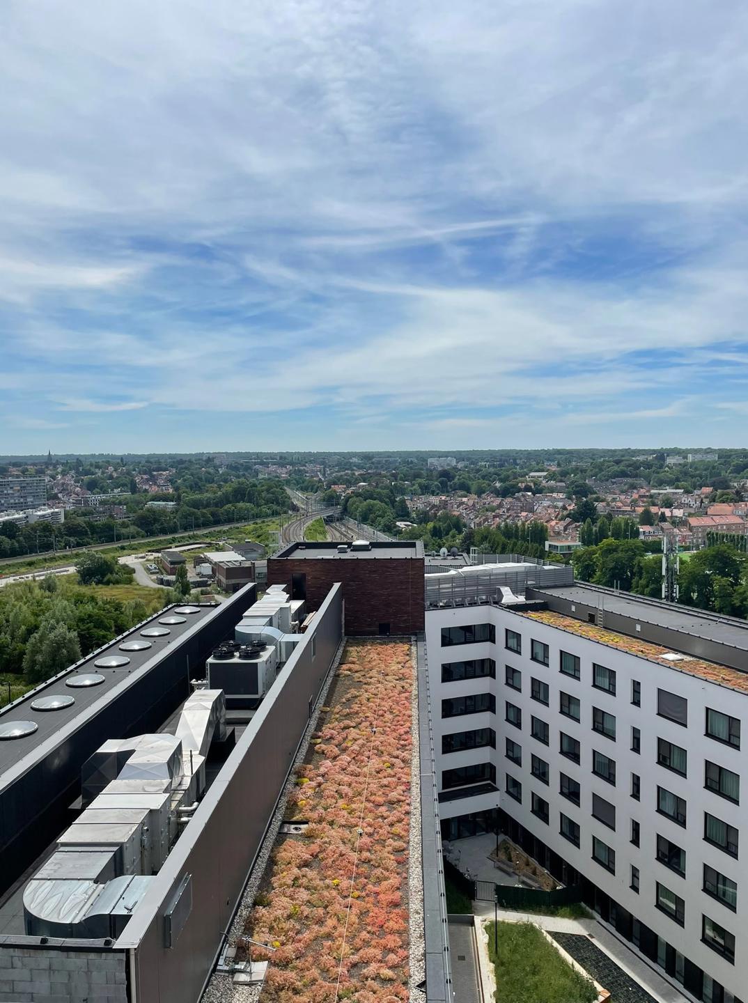 Cimetière d'Ixelles Projet neuf Deltaview