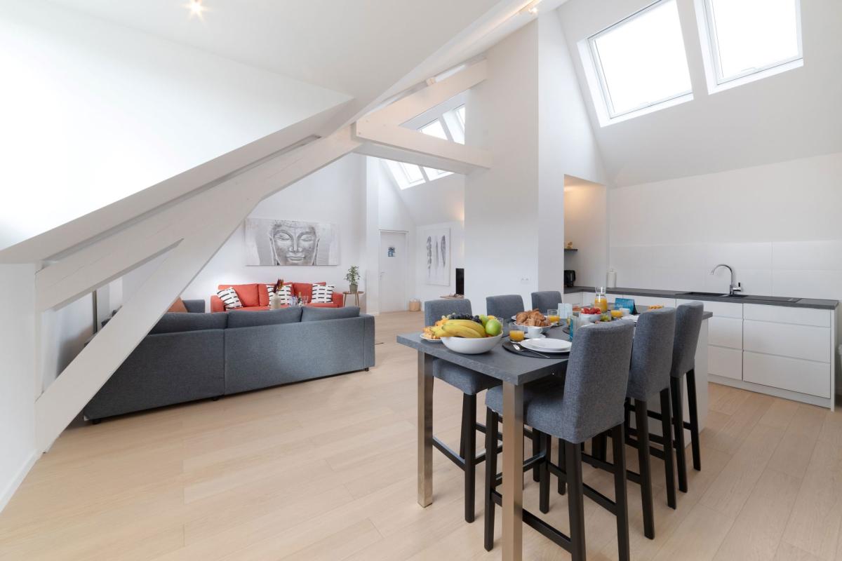 Molière: Appartement rénové 4 ch, 4 sdd, terrasse sur toit