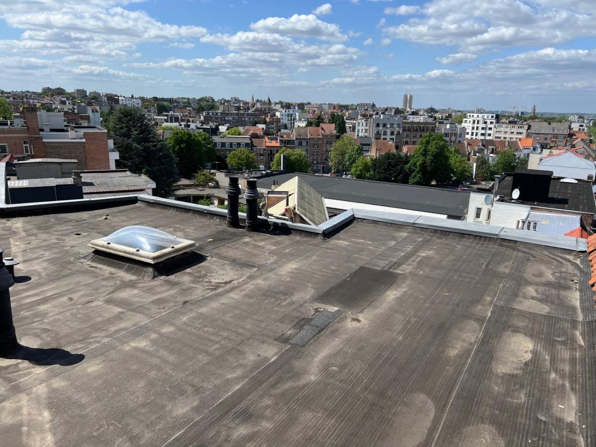 Molière: Appartement rénové 4 ch, 4 sdd, terrasse sur toit