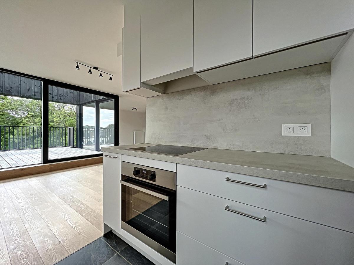 Globe : Penthouse neuf 2 chambres + terrasse + parking