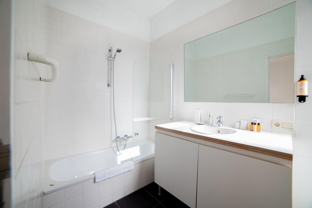 Molière: Magnifique appartement rénové 1 ch, 1 sdb et balcon