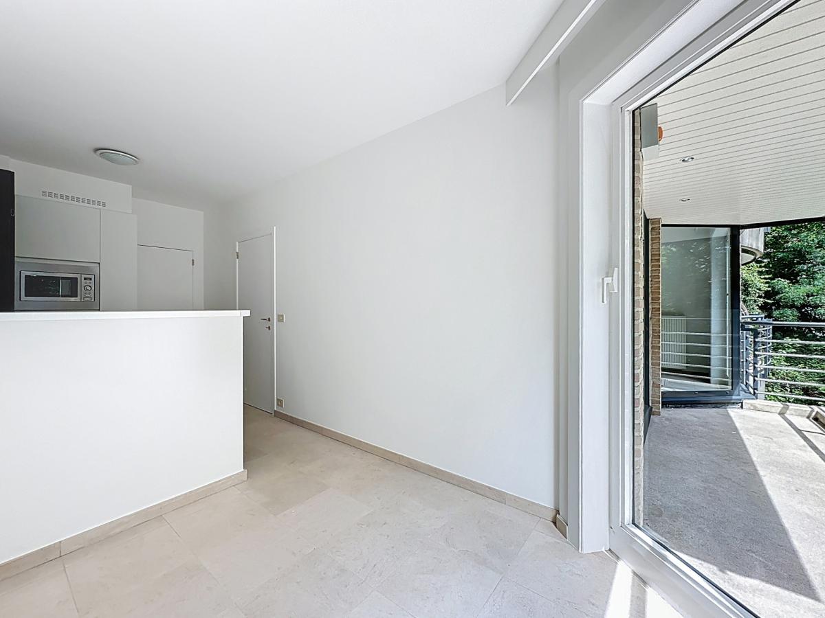 Solbosch/Roosevelt : Bel appartement 3 chambres + terrasse