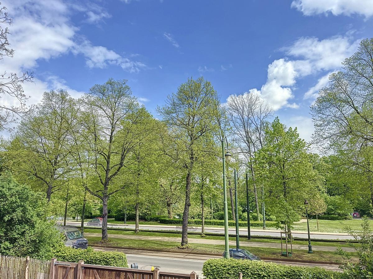 Souverain - Brasserie/restaurant completement rénové ± 500m²