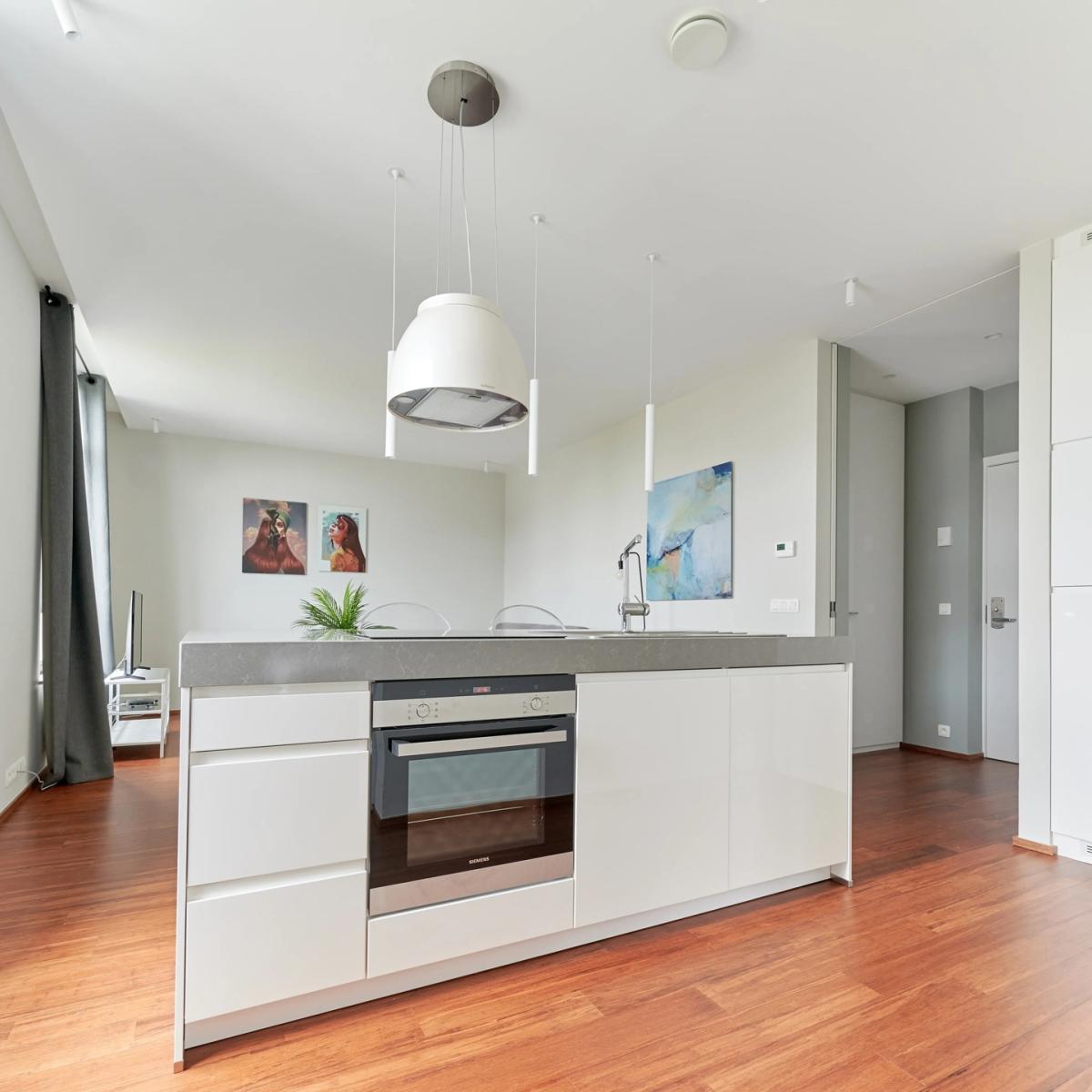 Toison d'Or : Bel appartement meublé 1 chambre
