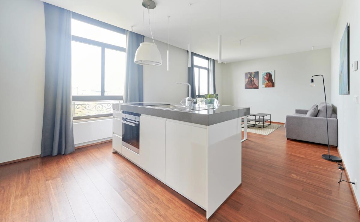 Toison d'Or : Bel appartement meublé 1 chambre