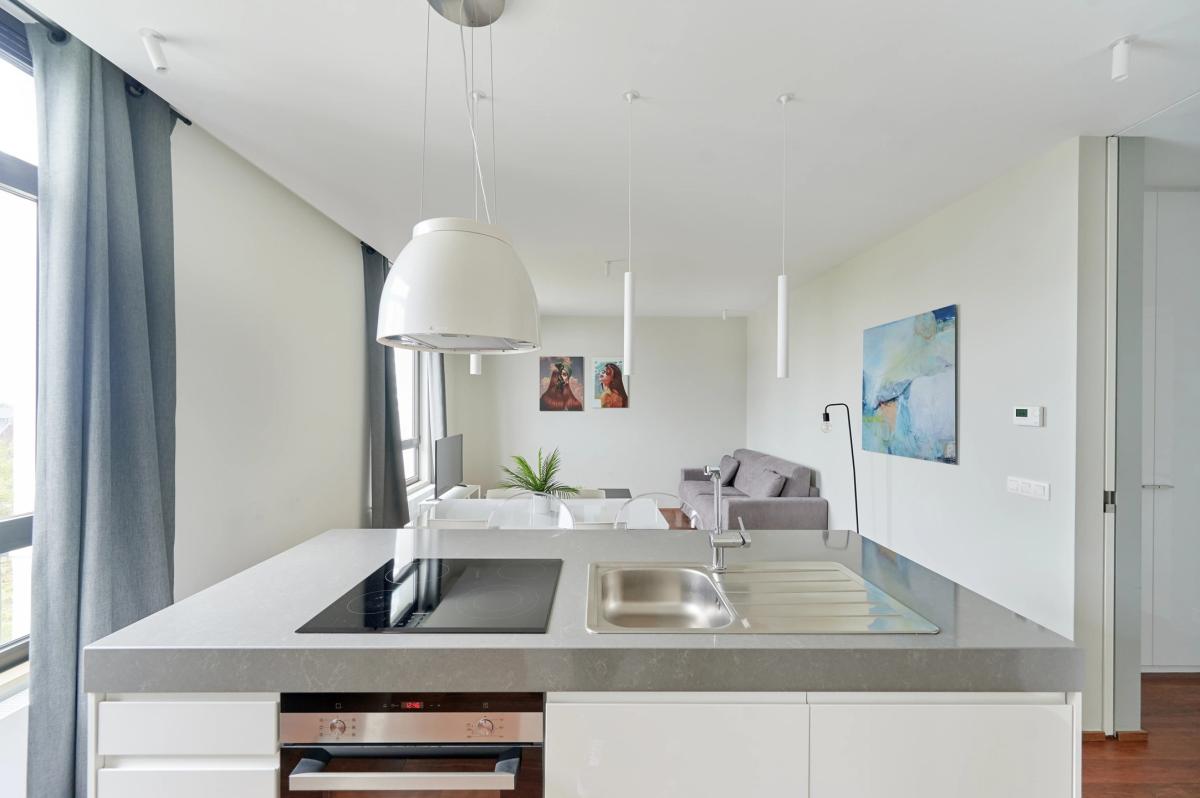 Toison d'Or : Bel appartement meublé 1 chambre
