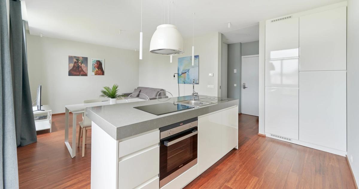 Toison d'Or : Bel appartement meublé 1 chambre