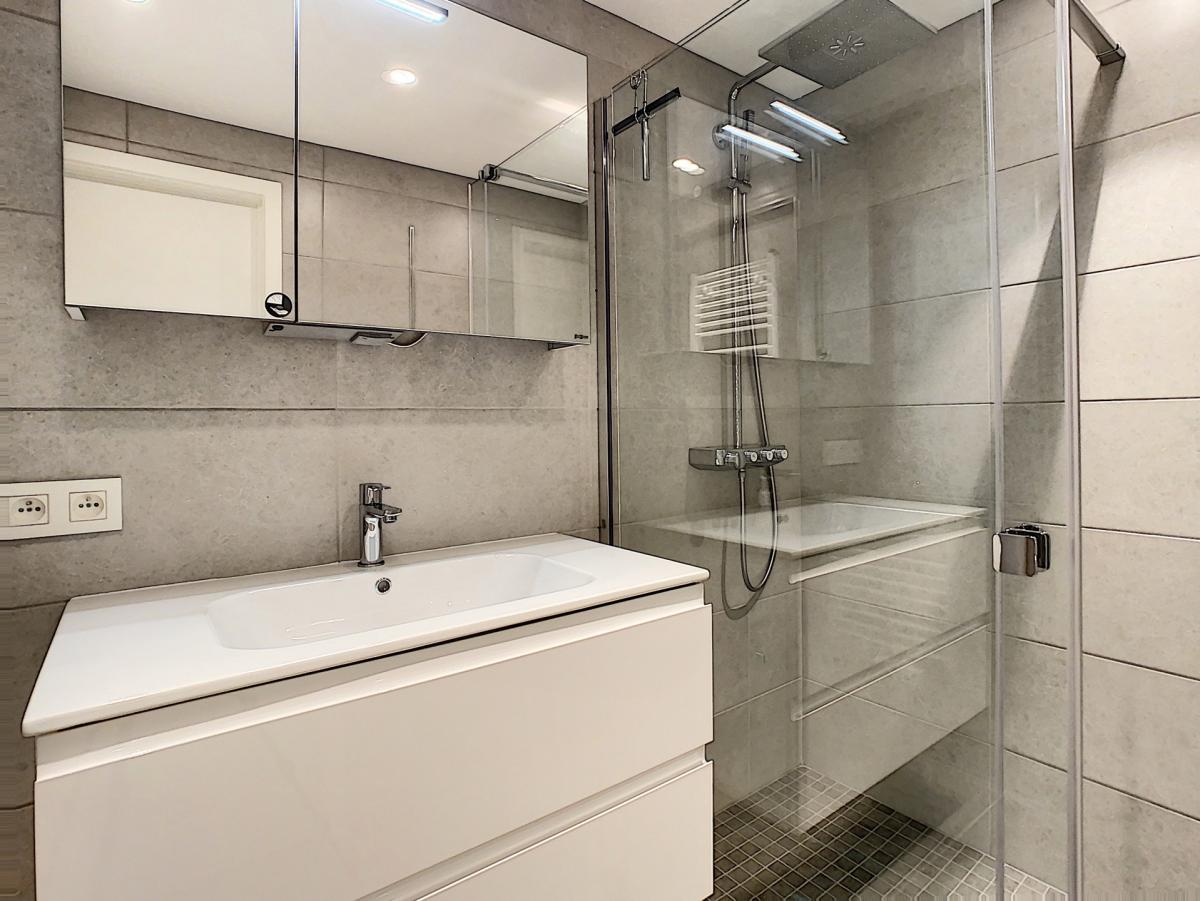 Vert-Chasseur : Bel appartement en parfait état + terrasse