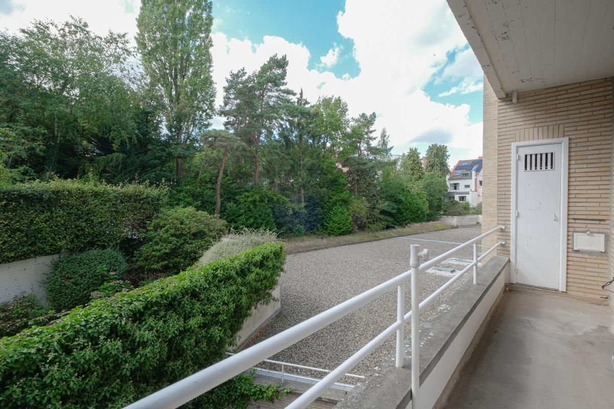 Bois de la Cambre: Bel appartement 3 chambres + terrasse