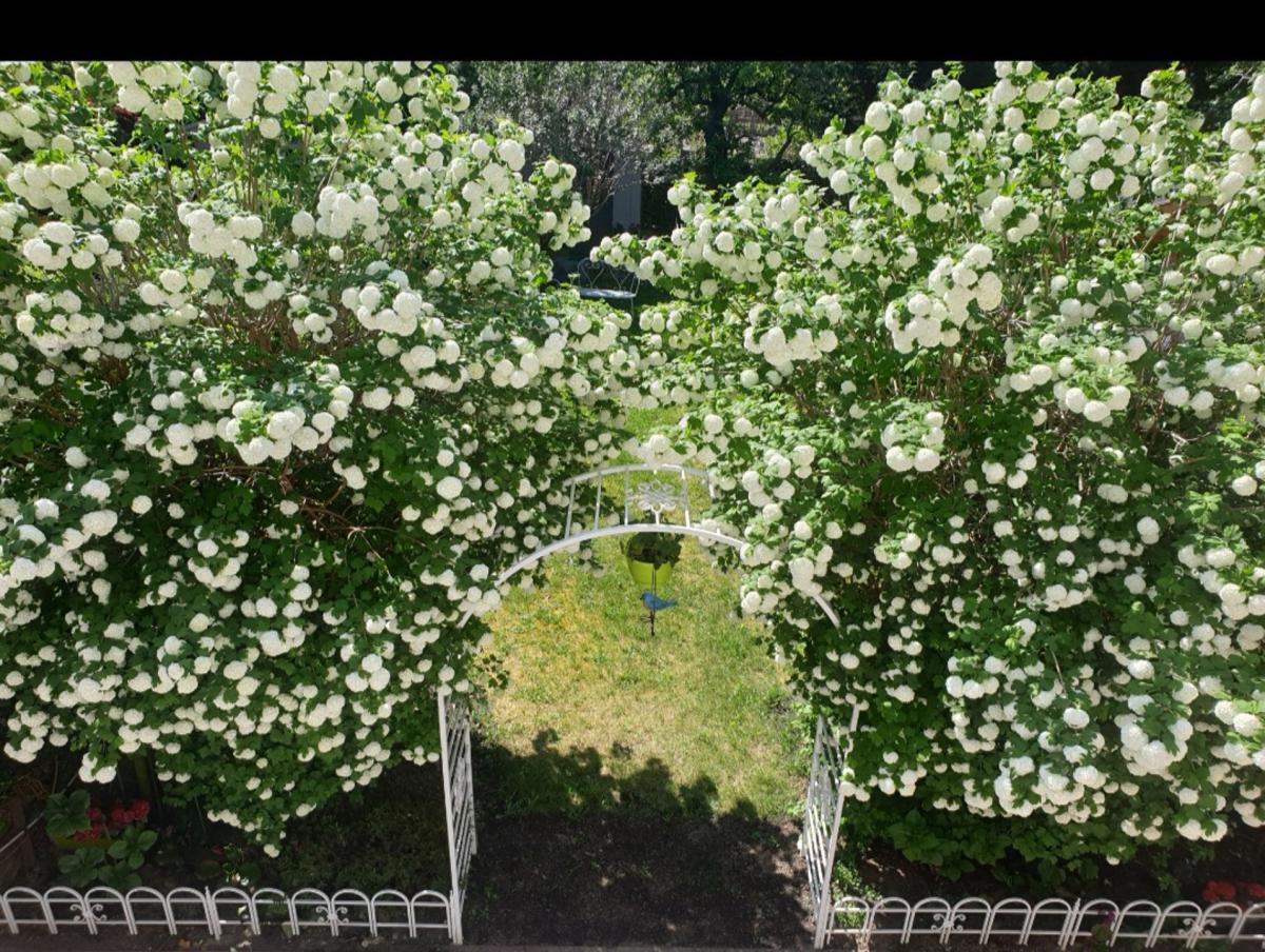 Splendide maison récente: jardin sud-ouest, double garage 