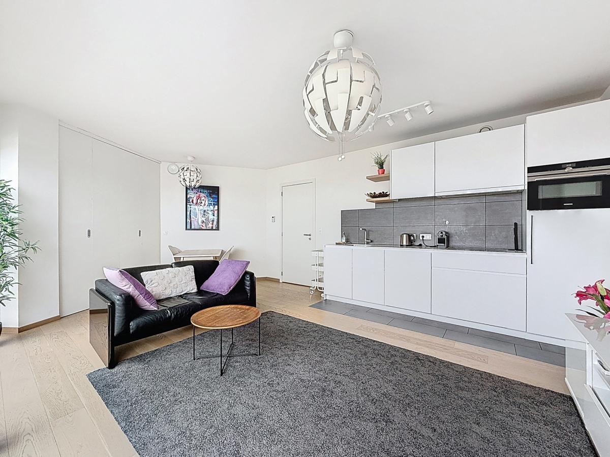 Louise/Quadrian : Superbe appartement meublé + terrasse