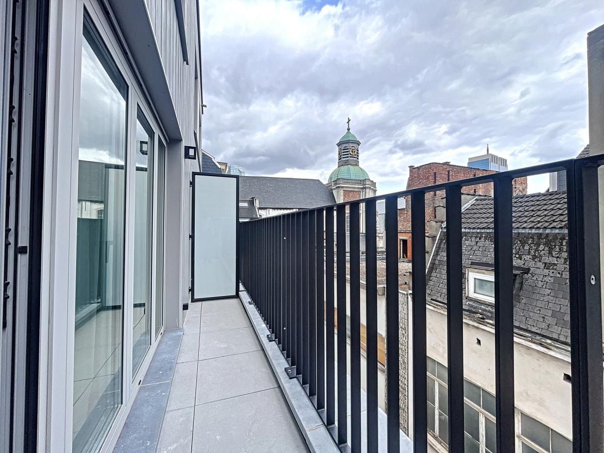 Centre ville - Duplex meublé 3 ch + terrasse