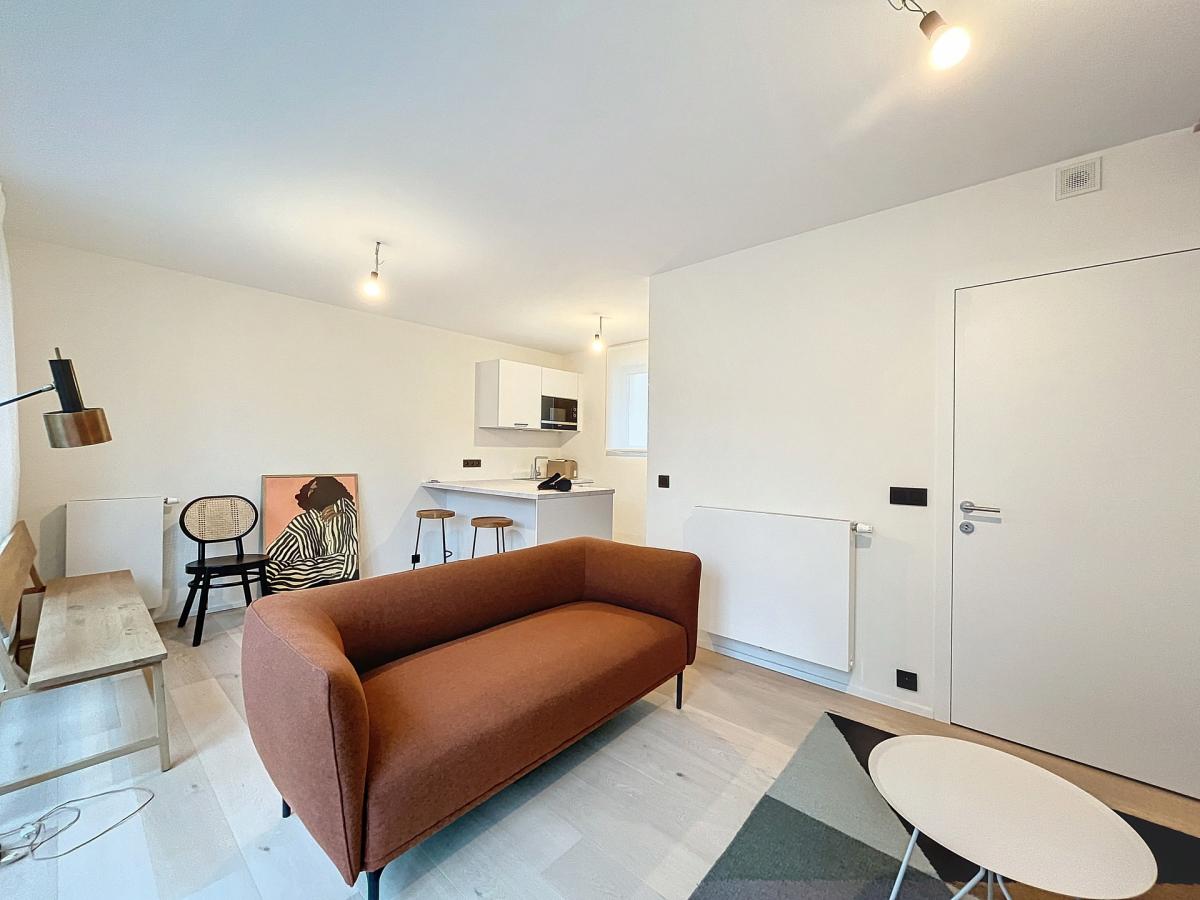 Centre ville - Duplex meublé 3 ch + terrasse