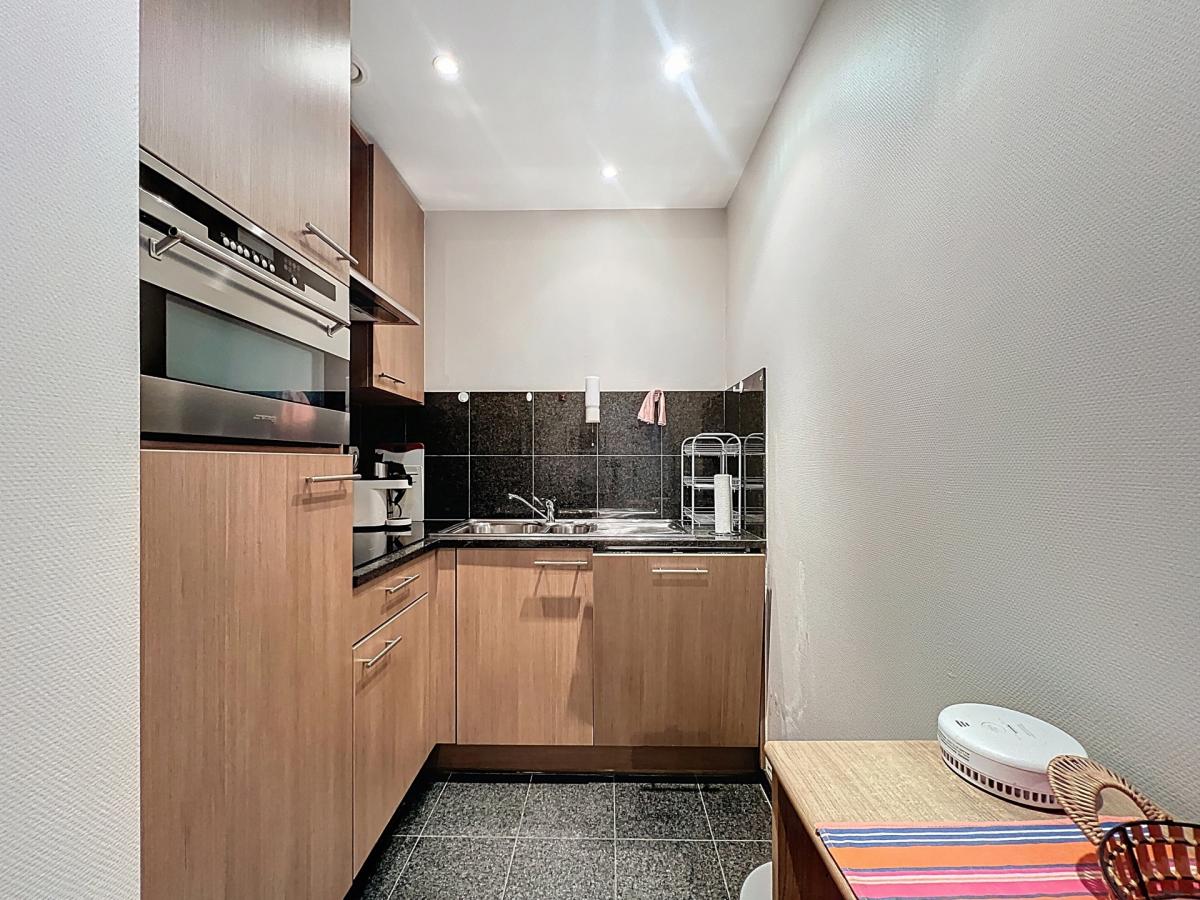 Quartier Européen : Bel appartement meublé + 2 terrasses
